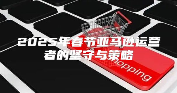 2025年春节亚马逊运营者的坚守与策略