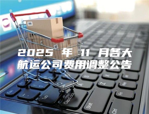 2025 年 11 月各大航运公司费用调整公告