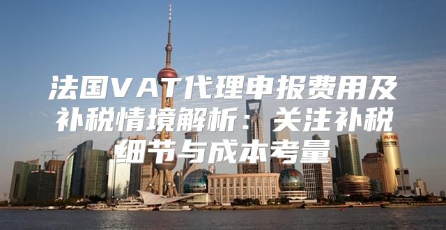 法国VAT代理申报费用及补税情境解析：关注补税细节与成本考量