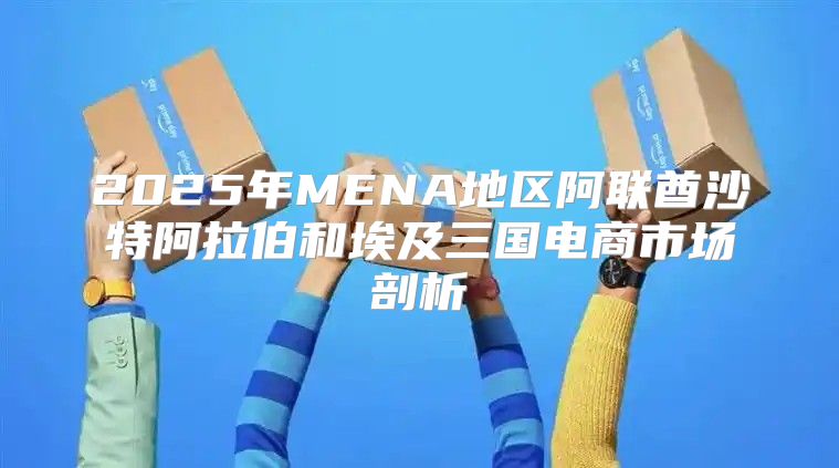 2025年MENA地区阿联酋沙特阿拉伯和埃及三国电商市场剖析