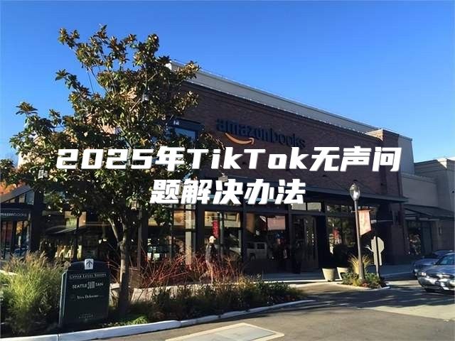 2025年TikTok无声问题解决办法