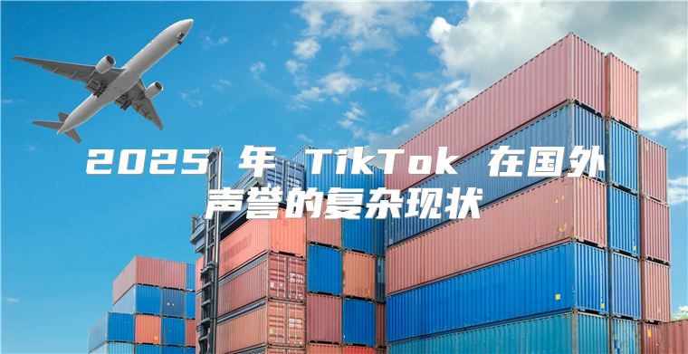 2025 年 TikTok 在国外声誉的复杂现状