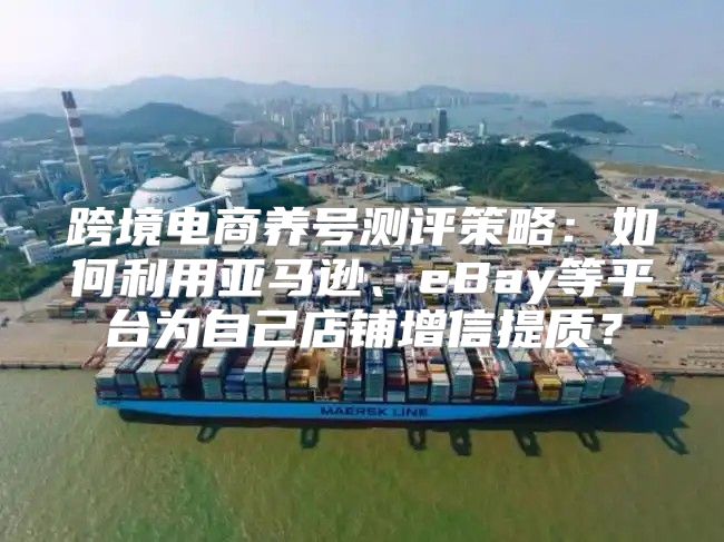 跨境电商养号测评策略：如何利用亚马逊、eBay等平台为自己店铺增信提质？