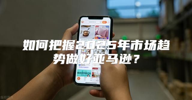 如何把握2025年市场趋势做好亚马逊？