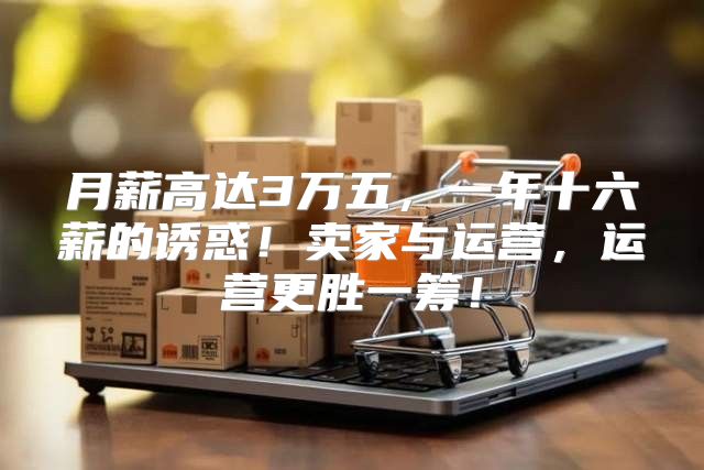 月薪高达3万五，一年十六薪的诱惑！卖家与运营，运营更胜一筹！