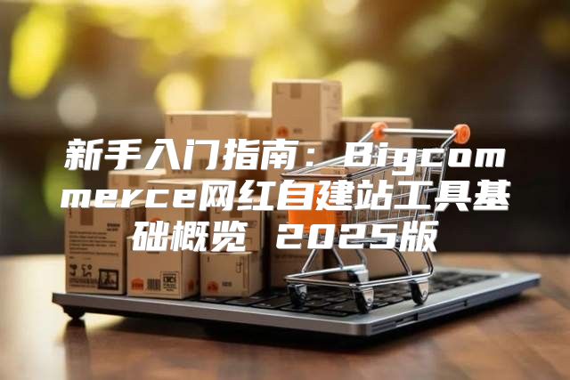 新手入门指南：Bigcommerce网红自建站工具基础概览 2025版