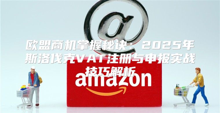 欧盟商机掌握秘诀：2025年斯洛伐克VAT注册与申报实战技巧解析