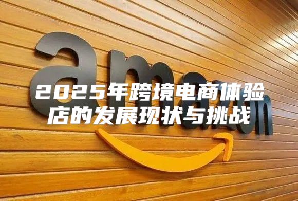 2025年跨境电商体验店的发展现状与挑战