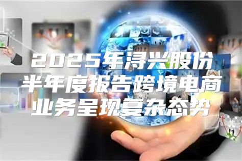 2025年浔兴股份半年度报告跨境电商业务呈现复杂态势