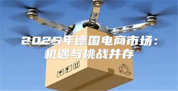 2025年德国电商市场：机遇与挑战并存