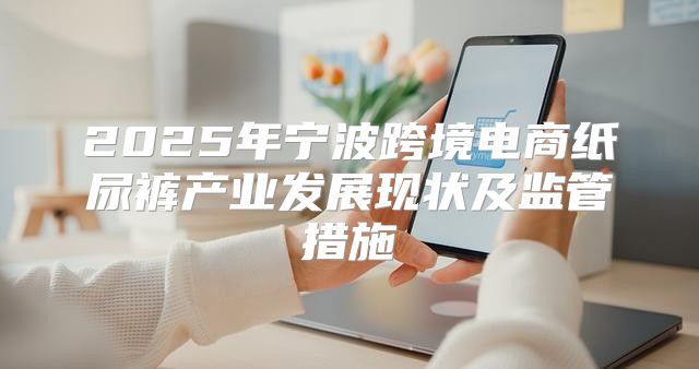 2025年宁波跨境电商纸尿裤产业发展现状及监管措施
