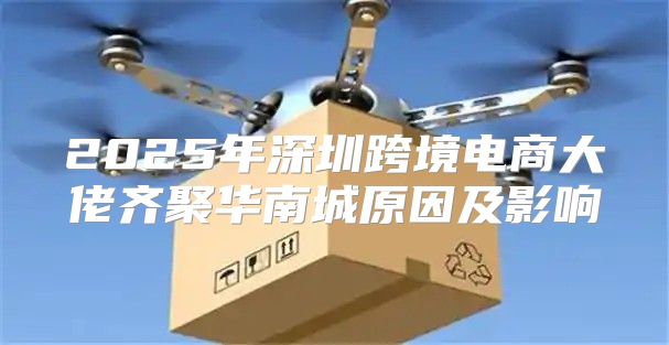 2025年深圳跨境电商大佬齐聚华南城原因及影响