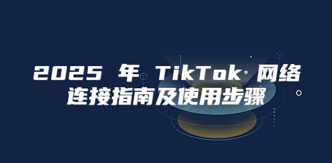 2025 年 TikTok 网络连接指南及使用步骤