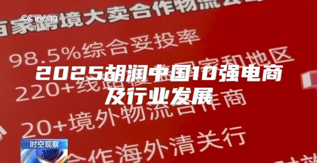 2025胡润中国10强电商及行业发展