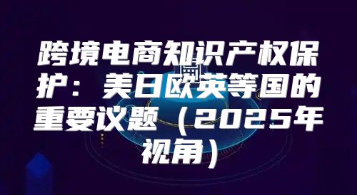 跨境电商知识产权保护：美日欧英等国的重要议题2025年视角