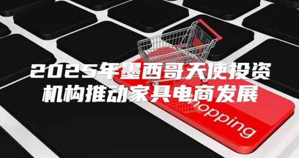 2025年墨西哥天使投资机构推动家具电商发展