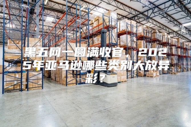 黑五网一圆满收官，2025年亚马逊哪些类别大放异彩？