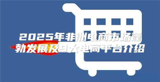2025年非洲电商市场蓬勃发展及9大电商平台介绍