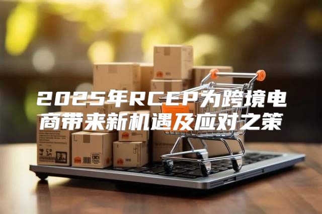 2025年RCEP为跨境电商带来新机遇及应对之策