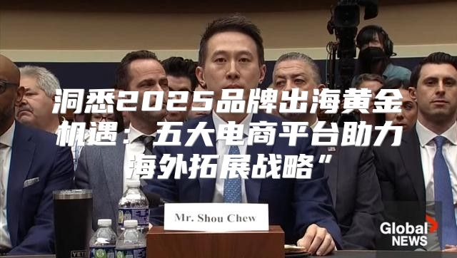 洞悉2025品牌出海黄金机遇：五大电商平台助力海外拓展战略”