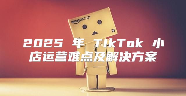 2025 年 TikTok 小店运营难点及解决方案
