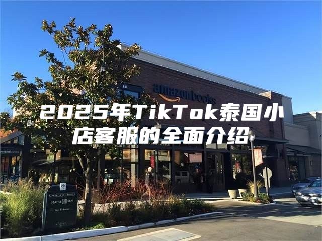 2025年TikTok泰国小店客服的全面介绍