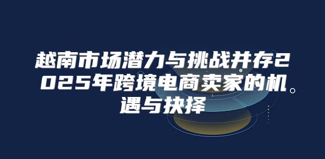 越南市场潜力与挑战并存2025年跨境电商卖家的机遇与抉择