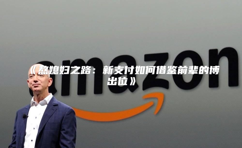 熬媳妇之路：新支付如何借鉴前辈的博出位