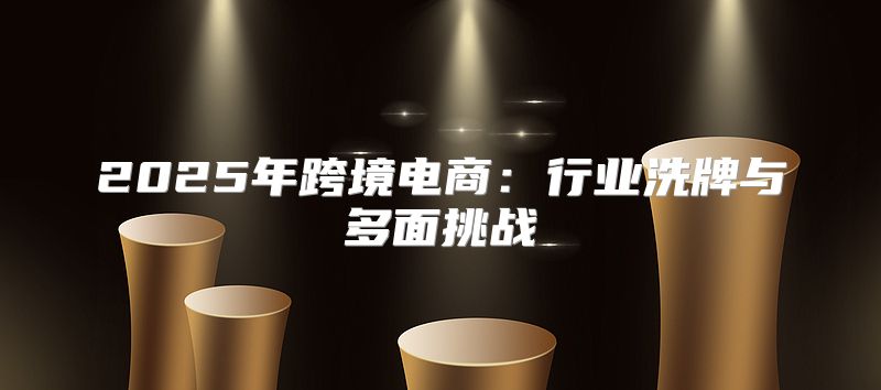 2025年跨境电商：行业洗牌与多面挑战