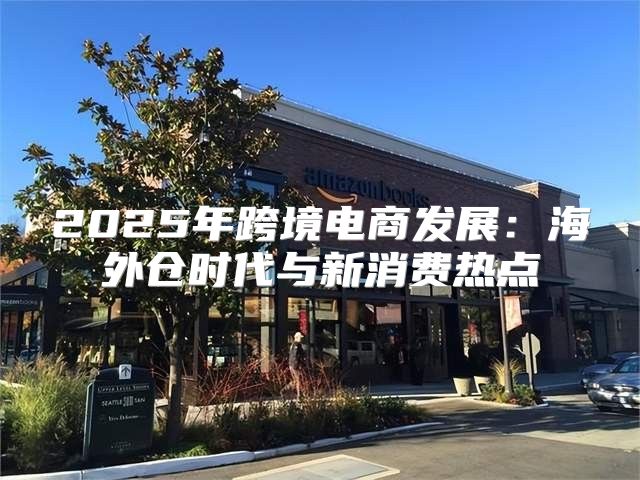2025年跨境电商发展：海外仓时代与新消费热点