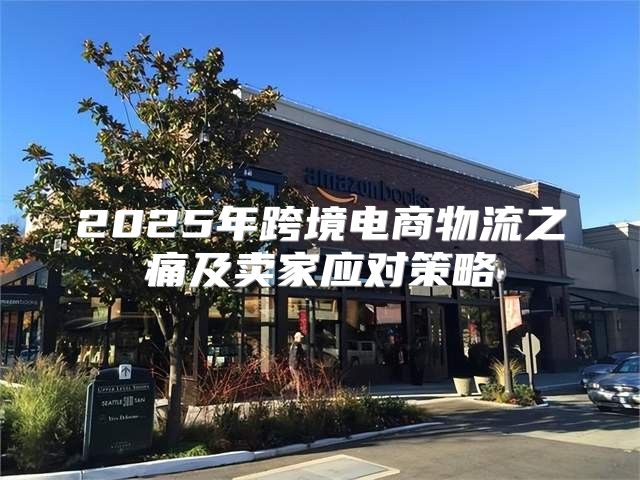 2025年跨境电商物流之痛及卖家应对策略