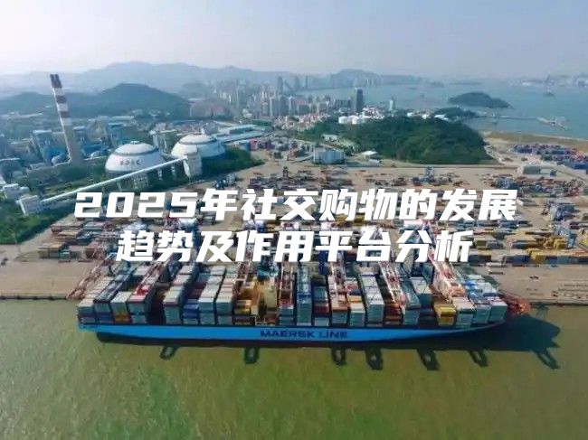 2025年社交购物的发展趋势及作用平台分析