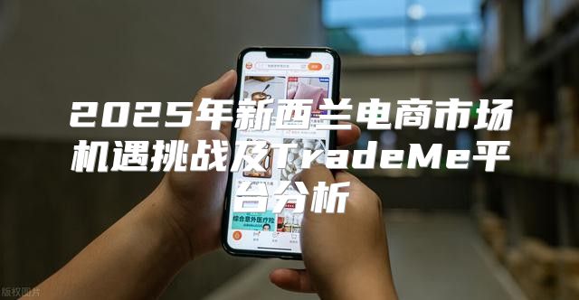 2025年新西兰电商市场机遇挑战及TradeMe平台分析