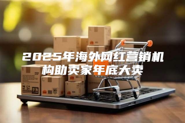 2025年海外网红营销机构助卖家年底大卖