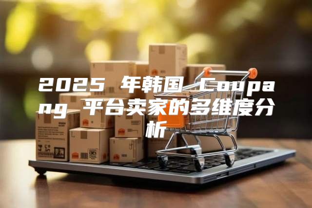 2025 年韩国 Coupang 平台卖家的多维度分析