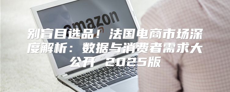 别盲目选品！法国电商市场深度解析：数据与消费者需求大公开 2025版