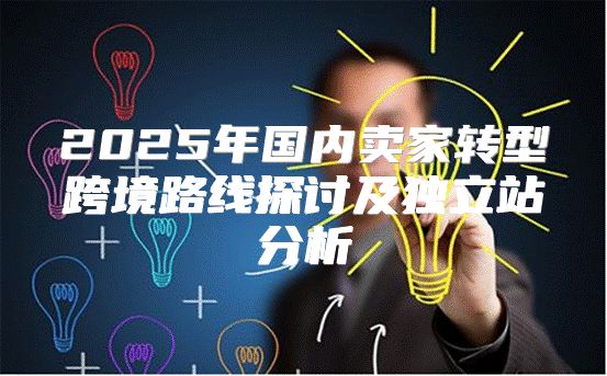 2025年国内卖家转型跨境路线探讨及独立站分析