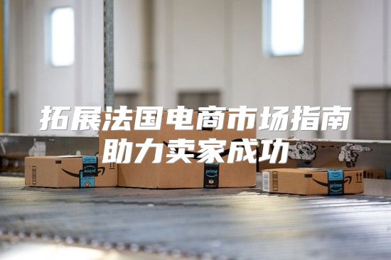 拓展法国电商市场指南助力卖家成功