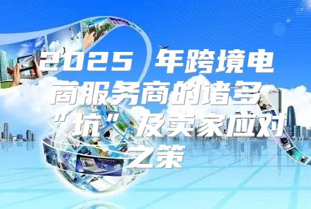 2025 年跨境电商服务商的诸多“坑”及卖家应对之策