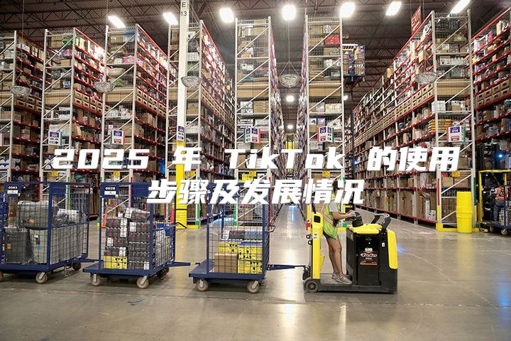 2025 年 TikTok 的使用步骤及发展情况