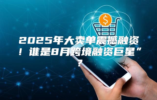 2025年大卖单震撼融资！谁是8月跨境融资巨星”？