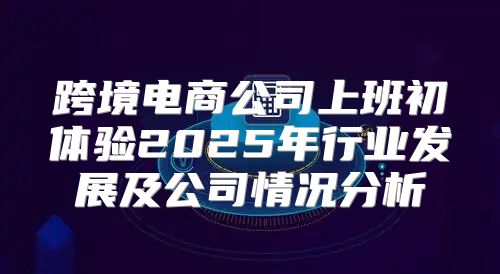 跨境电商公司上班初体验2025年行业发展及公司情况分析