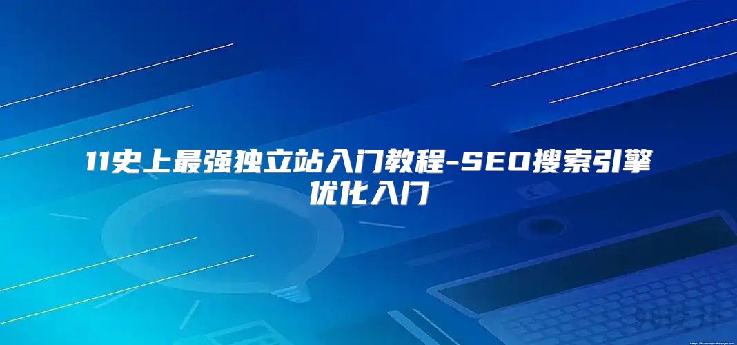11史上最强独立站入门教程-SEO搜索引擎优化入门