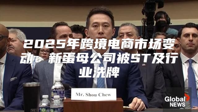 2025年跨境电商市场变动：新蛋母公司被ST及行业洗牌