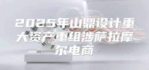 2025年山鼎设计重大资产重组涉萨拉摩尔电商