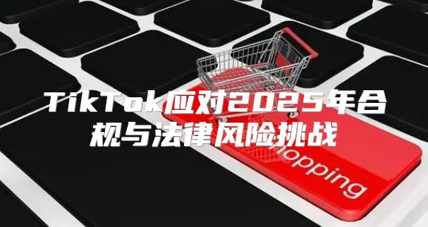 TikTok应对2025年合规与法律风险挑战