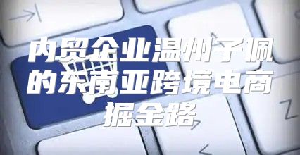 内贸企业温州子佩的东南亚跨境电商掘金路