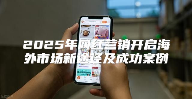 2025年网红营销开启海外市场新途径及成功案例