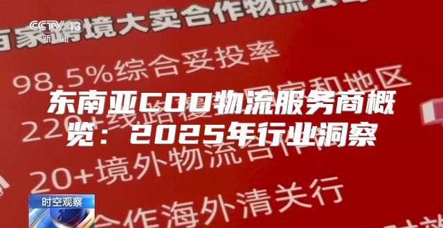 东南亚COD物流服务商概览：2025年行业洞察