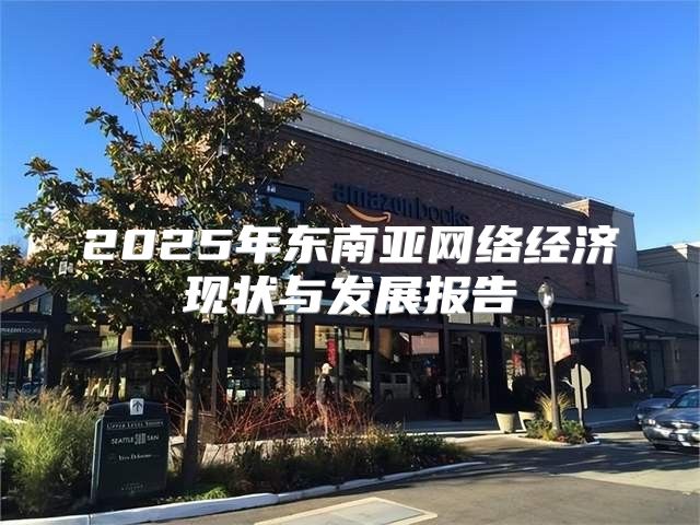 2025年东南亚网络经济现状与发展报告